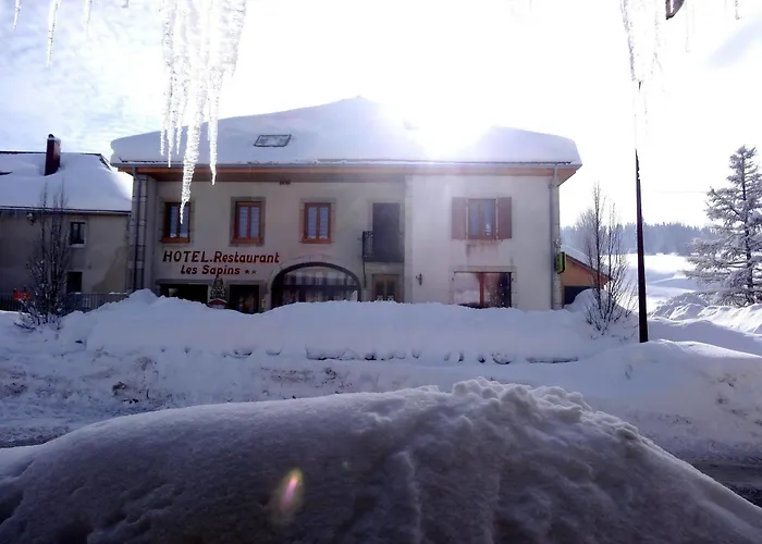 Hotel Les Sapins Pontarlier photo